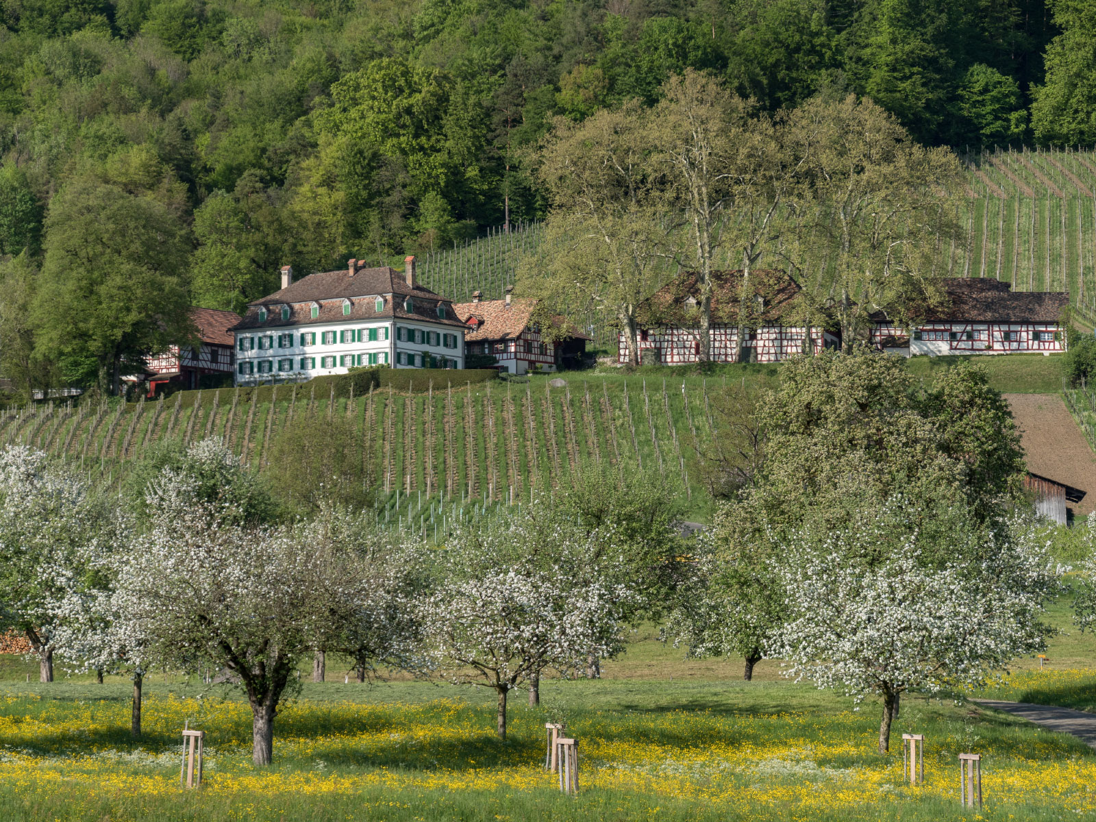 Weinfelden